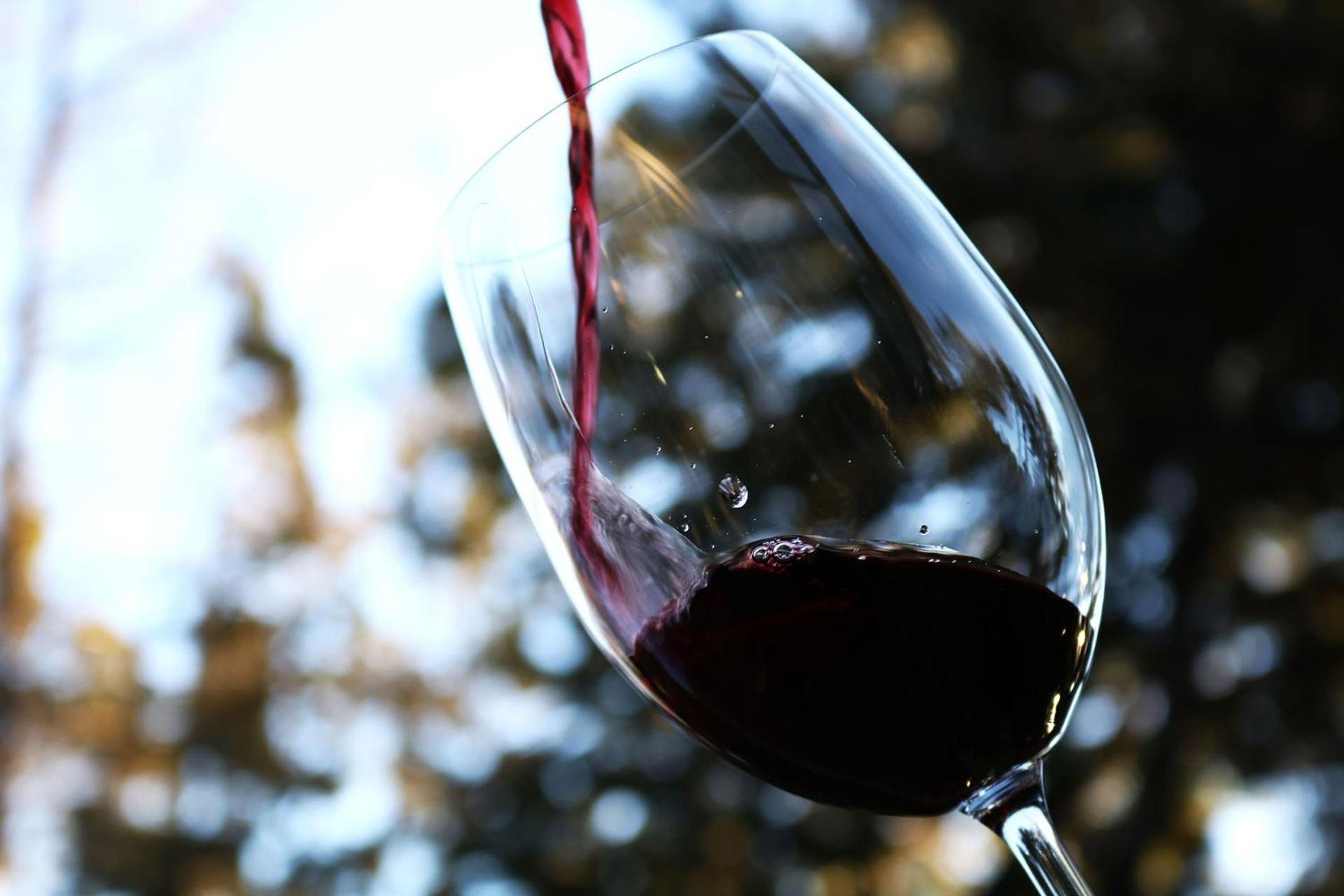 Calfuco Wine Hotel & Spa Puerto Manzano Dış mekan fotoğraf